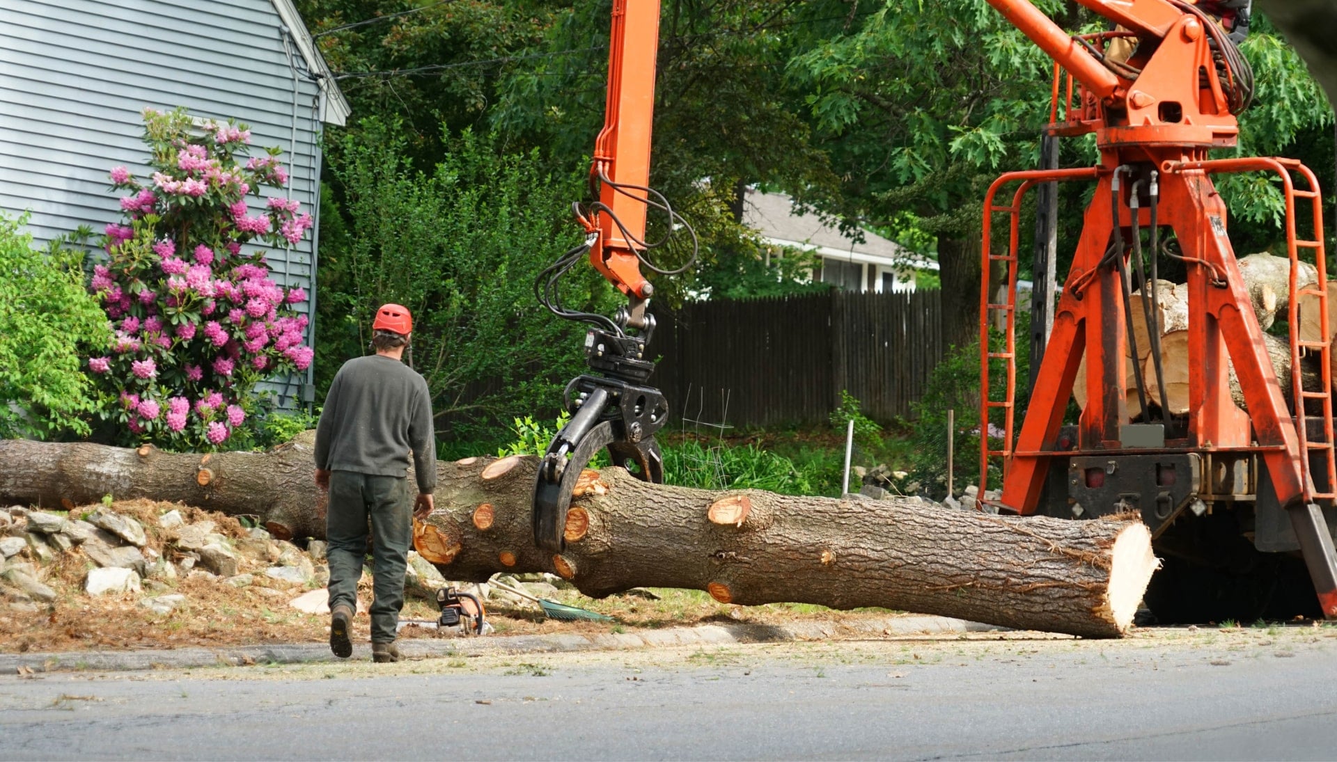 Tree-Removal-Services