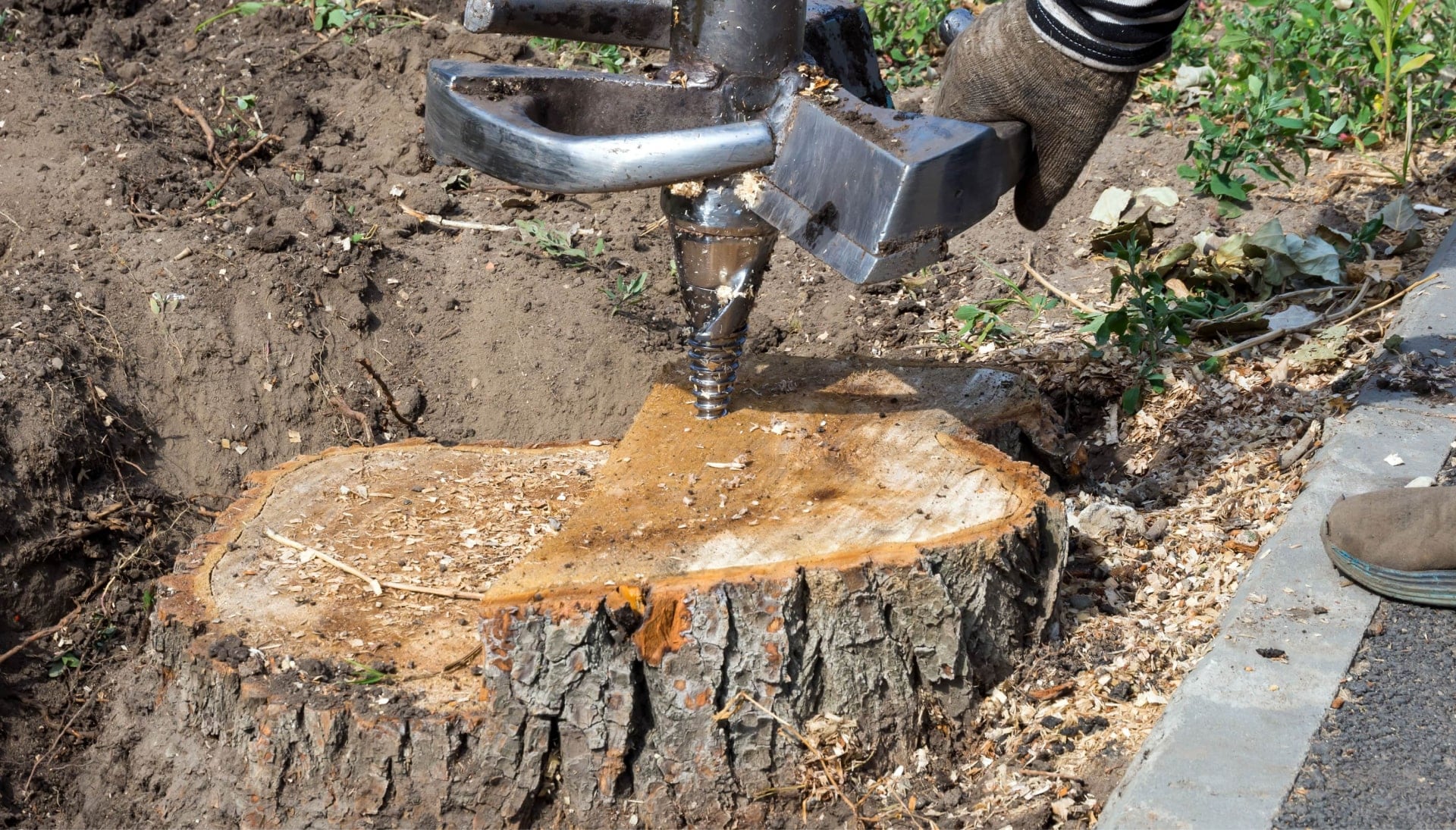 Tree-Stump-Removal